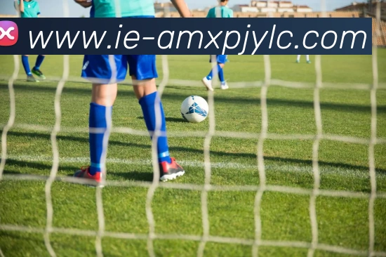 新葡京娱乐APP 封面图