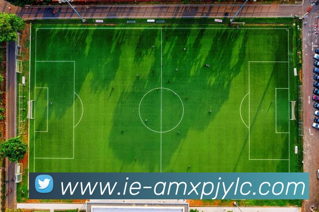 数据防护可视化